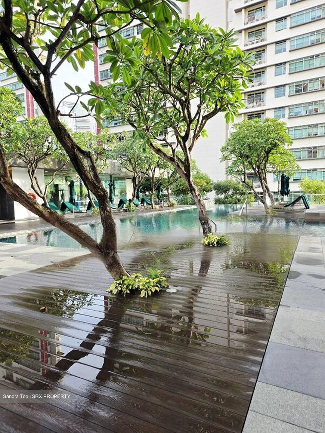 Newton Suites (D11), Apartment #480757151